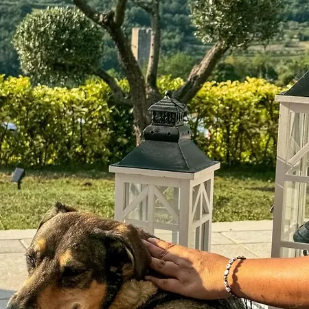 Beautiful Casa Garden Contesses In Momjan Buje
