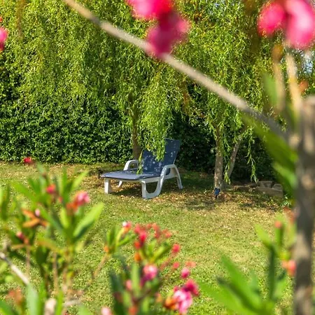 Beautiful Casa Garden Contesses In Momjan Buje
